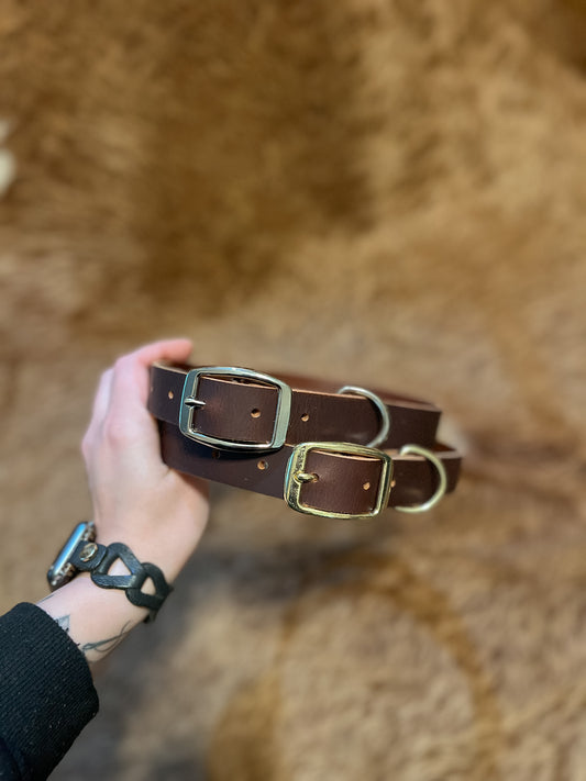 Dog Collar